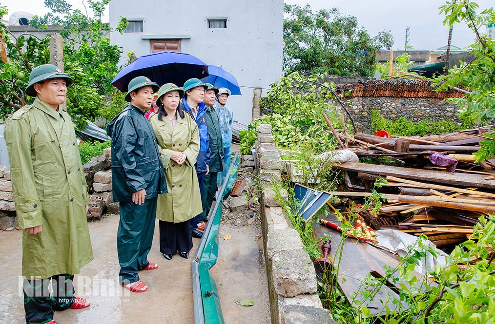 ninh bình 23