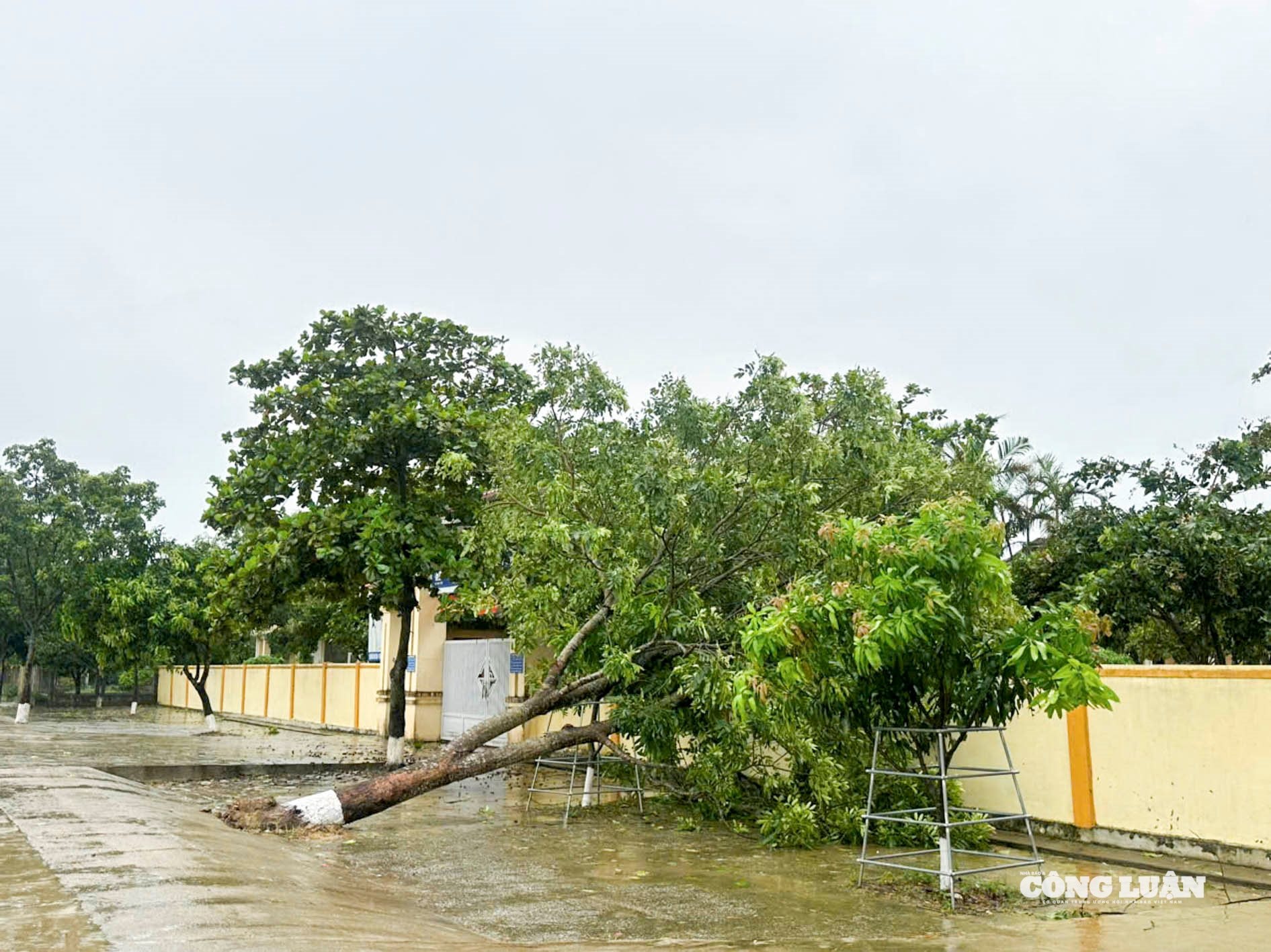 thiên tai_6