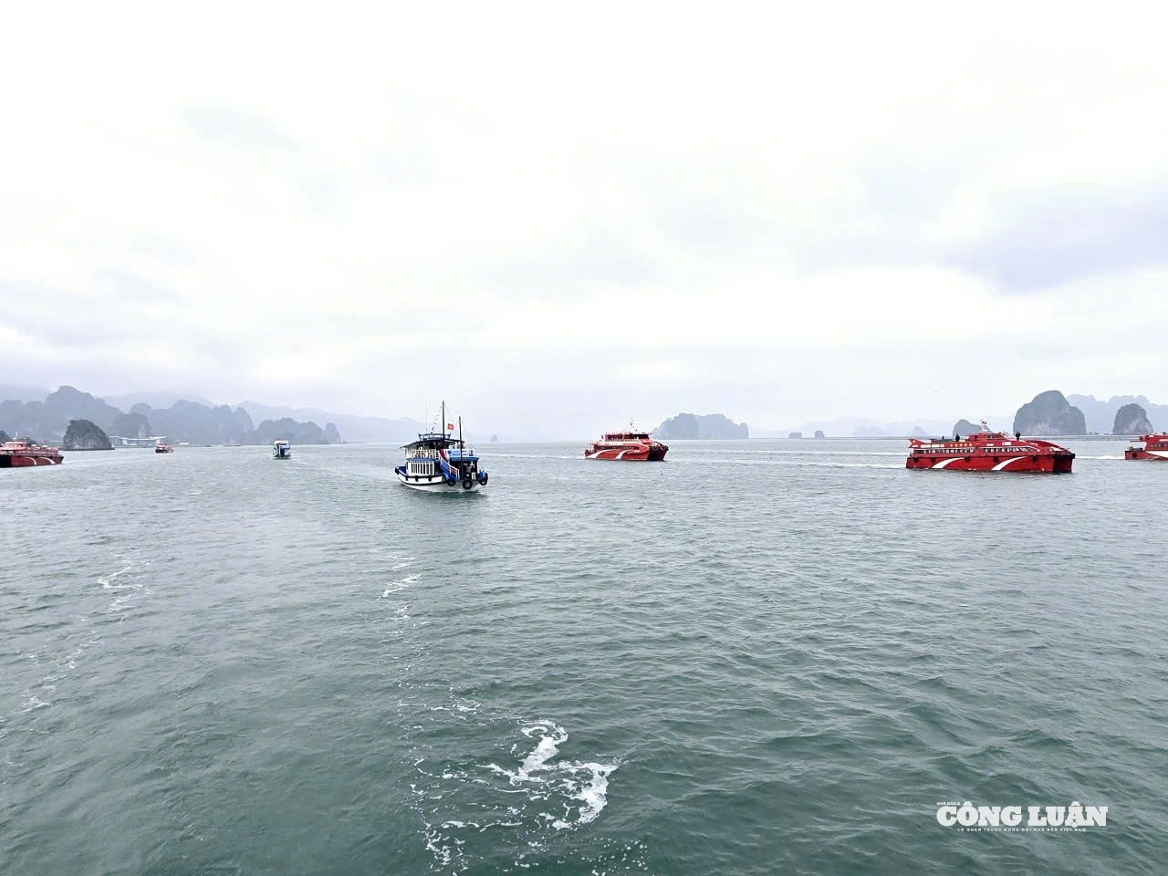 anh-1-buoc-ngoat-cho-kinh-te-tu-nhan-quang-ninh(1).jpg
