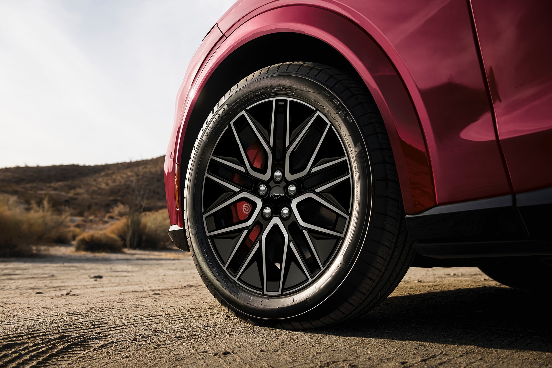 Mustang Mach-E 2025 - 19