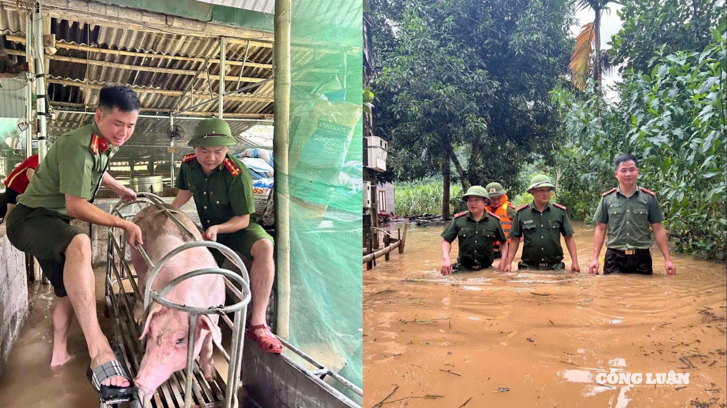 Hình ảnh những chiếc áo xanh không ngại gian khổ, đồng hành cùng bà con trong lúc khó khăn đã để lại nhiều tình cảm tốt đẹp, lan tỏa tinh thần đoàn kết, sẻ chia trong cộng đồng.