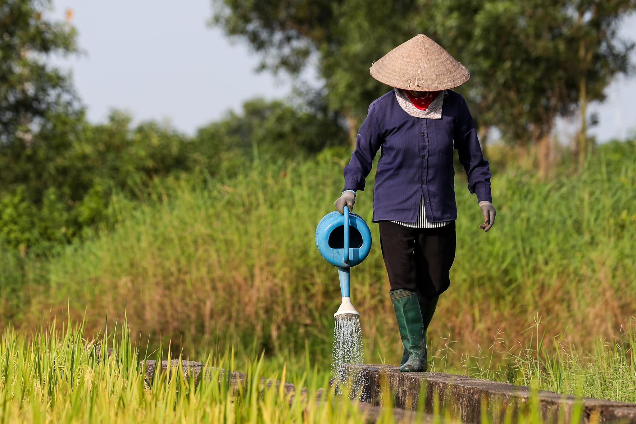 Dân số già là một trong những thách thức lớn của kinh tế Việt Nam trong thời gian . (Ảnh: Phong Sơn)