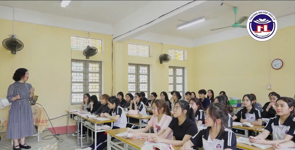 hoa lư 2