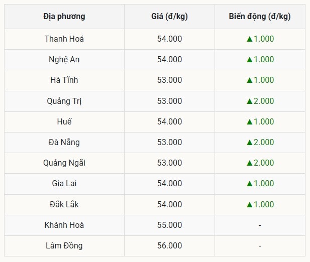 Miền Trung - Tây Nguyên Sóng thần giá heo, tăng mạnh đến 2.000 đồng kg
