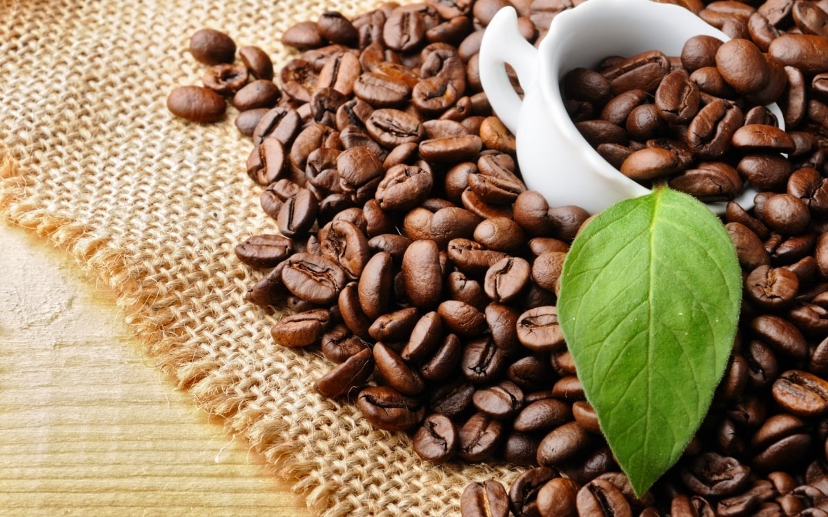 Giá nông sản hôm nay 6/9: Giá cà phê bất ngờ giảm trở lại, hồ tiêu bình ổn giá