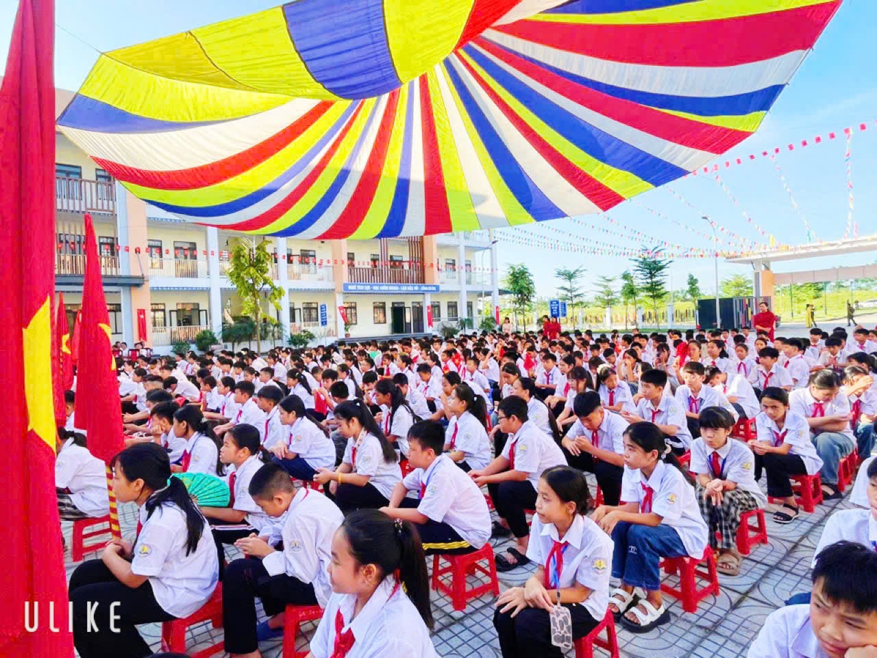 viên nội