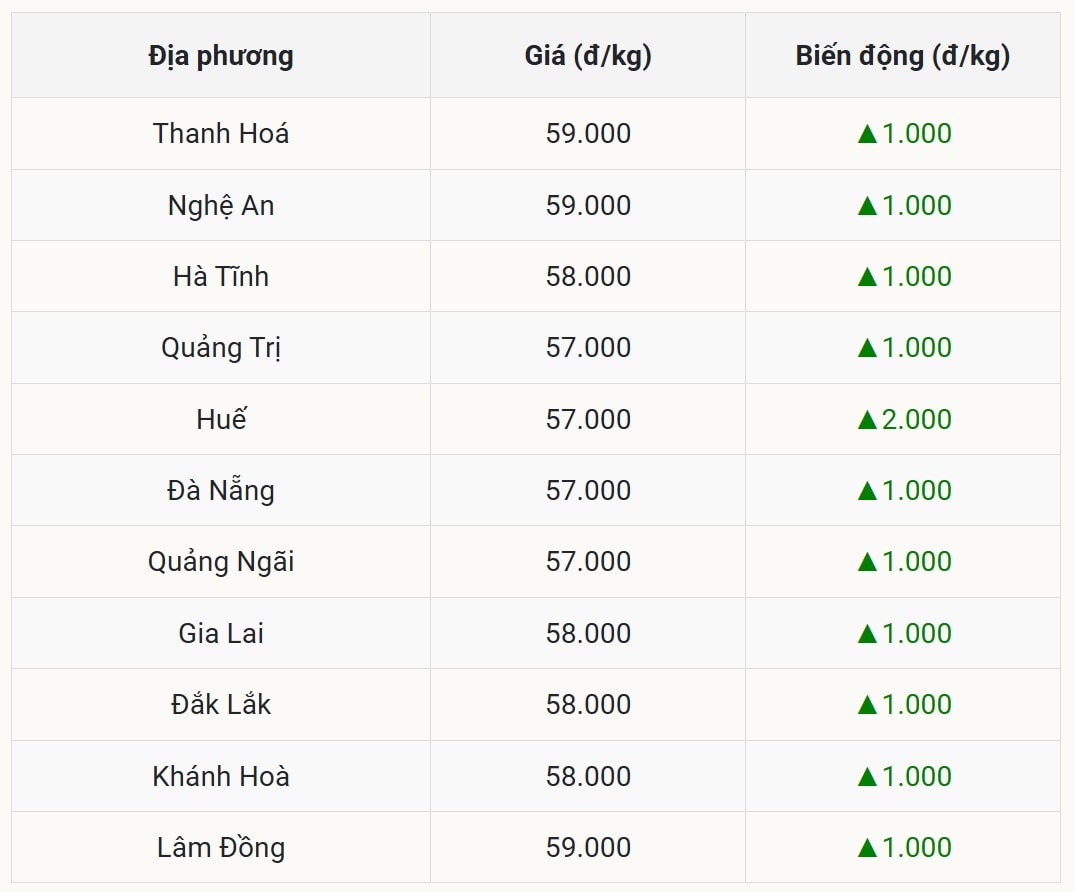 Giá heo hơi hôm nay tại miền Trung - Tây Nguyên nhích nhẹ