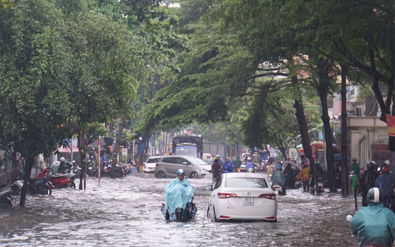 nhung-con-duong-hay-ngap-vao-mua-mua-o-thanh-pho-ho-chi-minh-201906142210440207.jpg