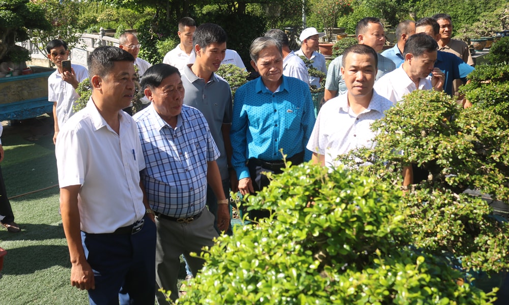 bắc ninh 1