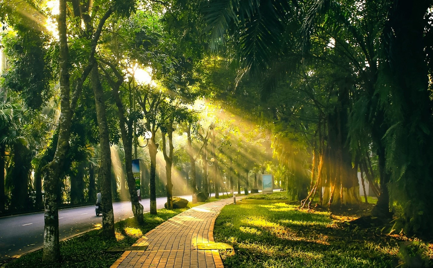 hinh-anh-troi-nang-dep20230321212630404767020230711170414.5571710.jpg