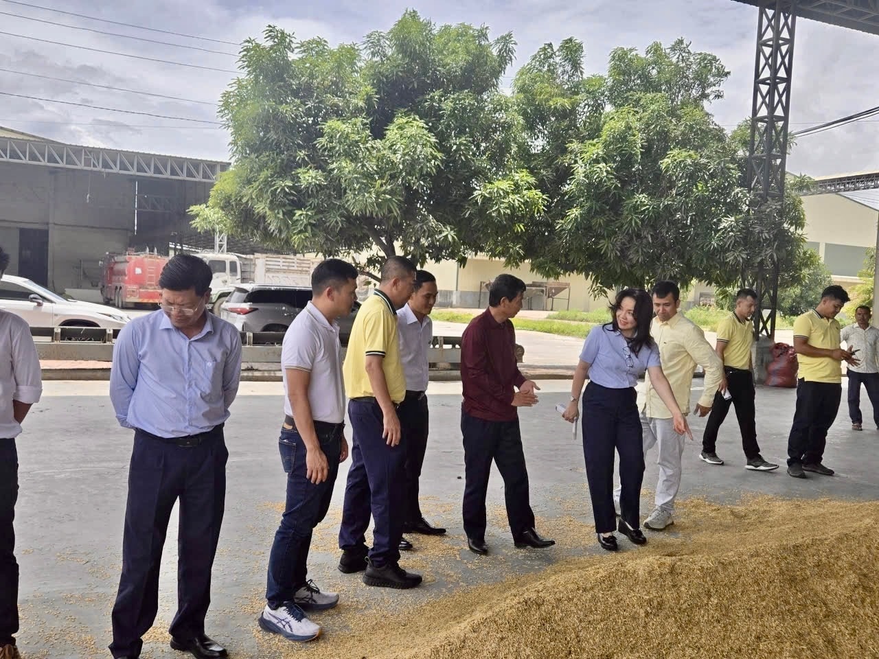 Phó TGĐ Nguyễn Thị Hiền cùng đoàn công tác trao đổi trực tiếp với đối tác về chất lượng nguyên liệu và tập quán canh tác của nông dân Campuchia.