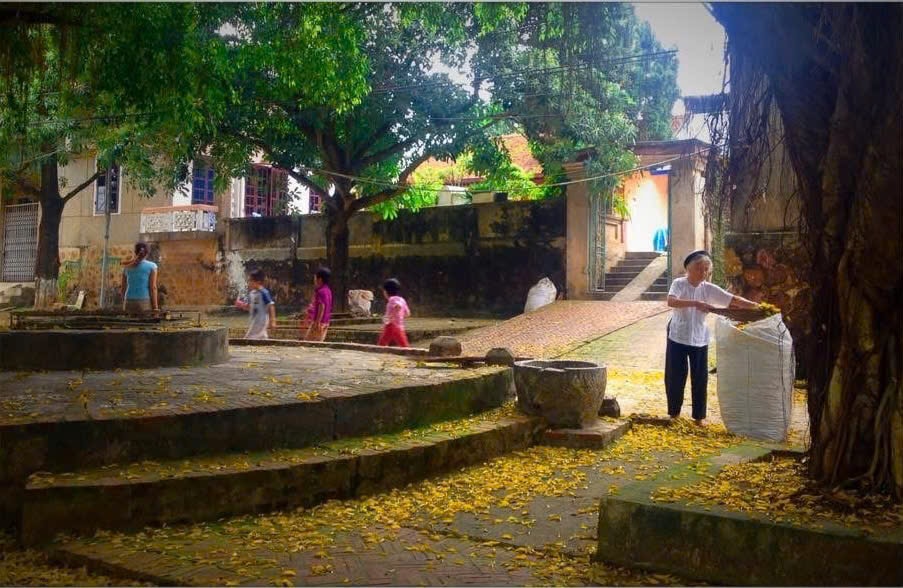 ae3039b1dbc6519808d7 (1)