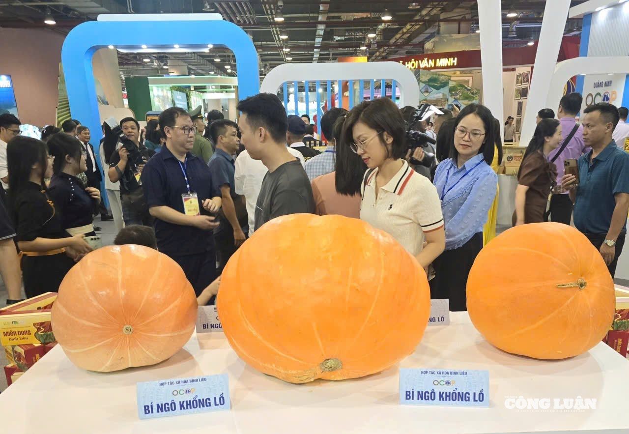 anh-14-robot-xuat-hien-tai-trien-lam-kt-xh-quang-ninh.jpg