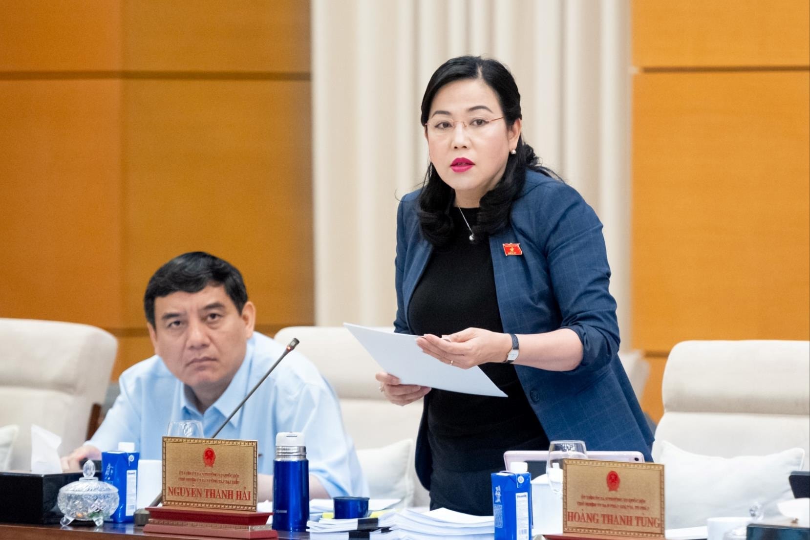 Chủ nhiệm Ủy ban Công tác đại biểu Nguyễn Thanh Hải phát biểu