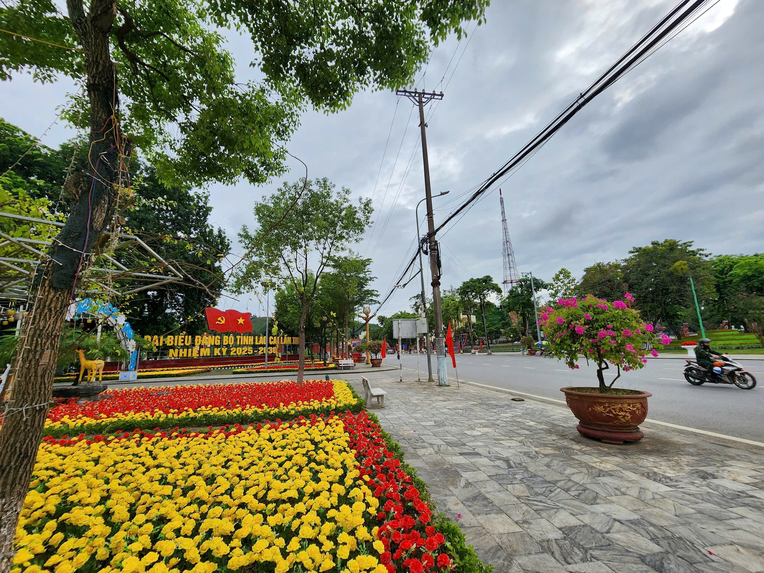 đường phố