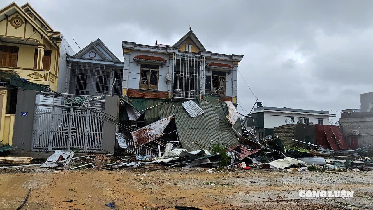 4255133728594411473 (1)