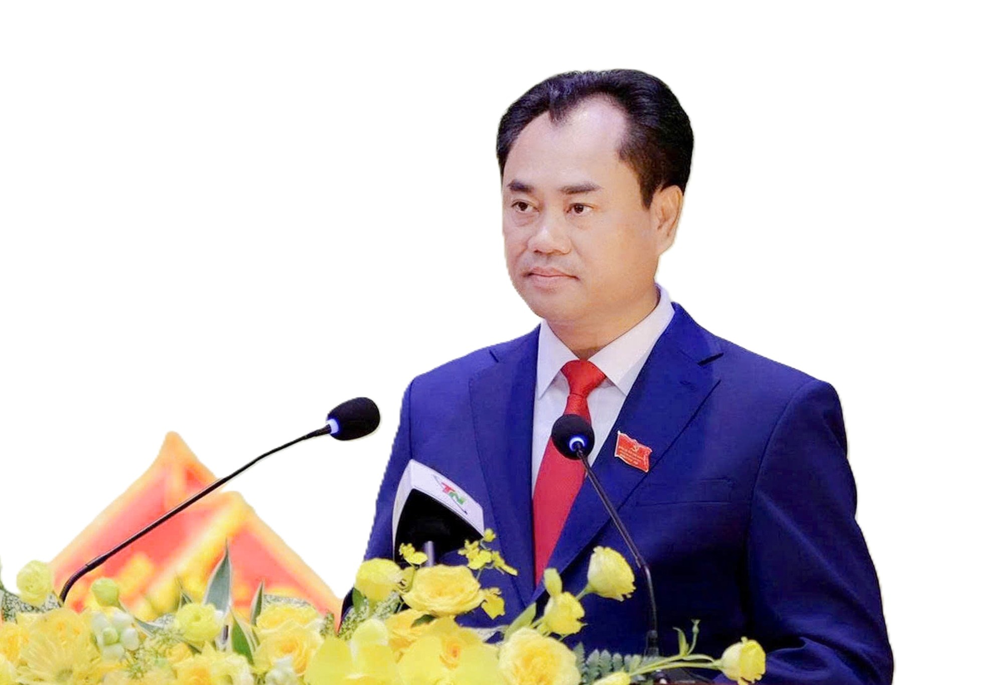 trinh viet hung
