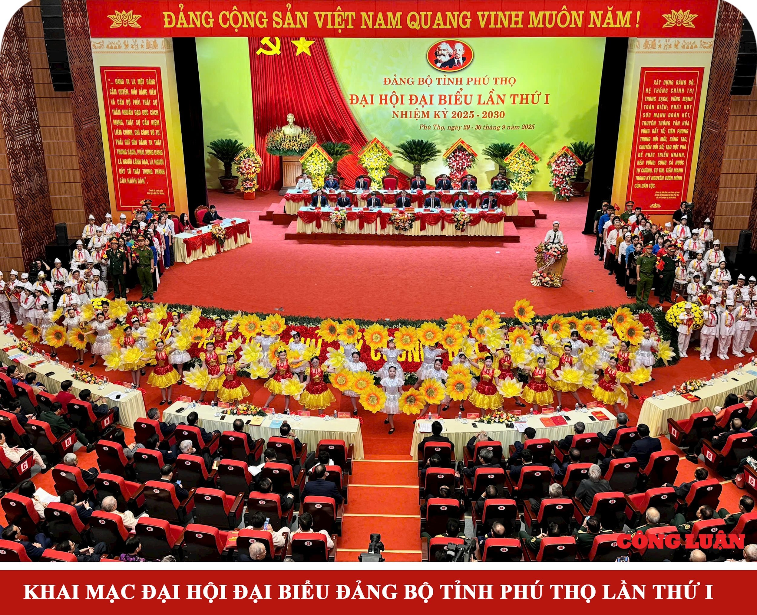 dhpt1.jpg