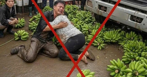 hinh-anh-si-su-that-1758158301469429400048-587-0-1179-947-crop-17581587128281319780049.jpg.webp