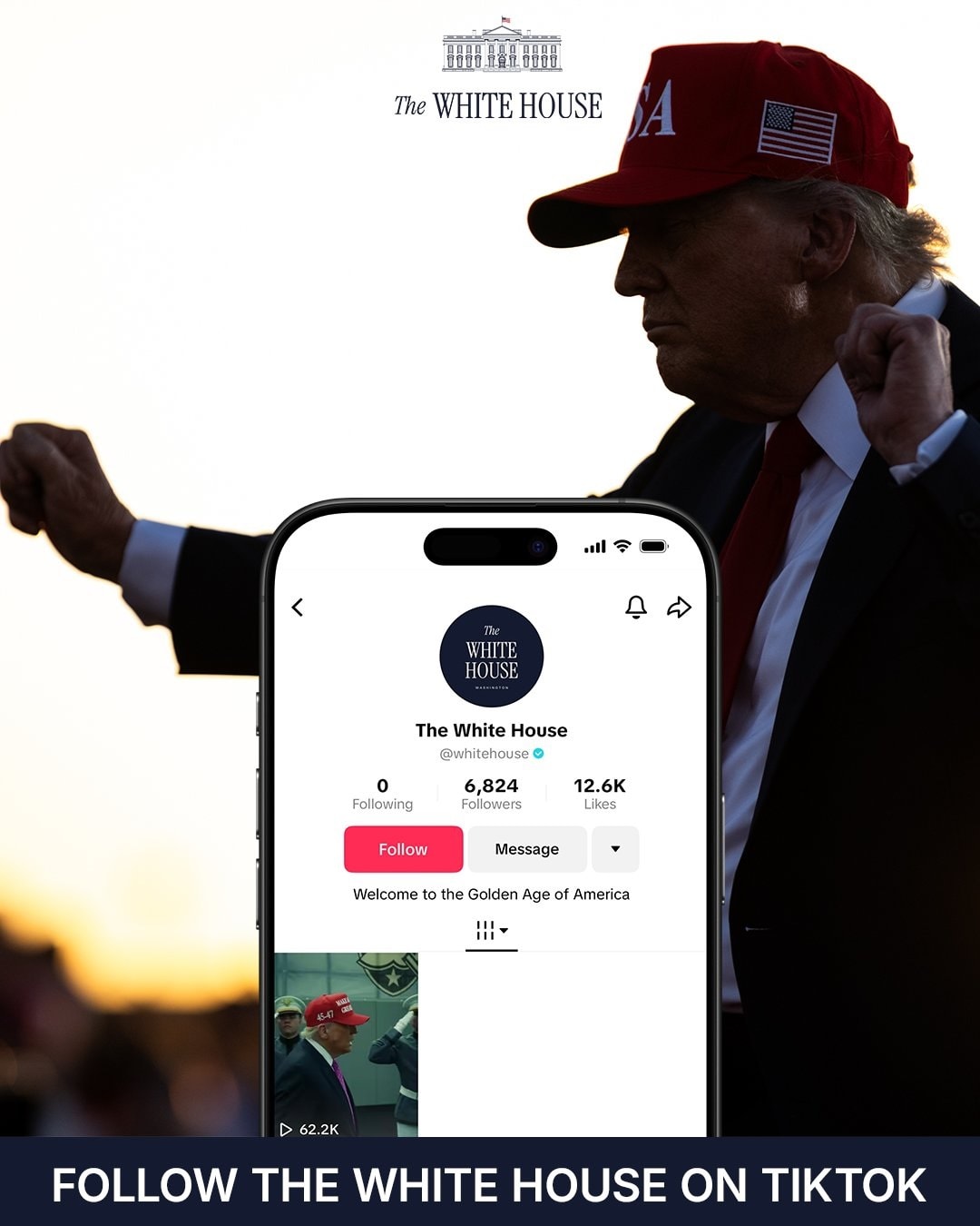 tiktok21.jpg