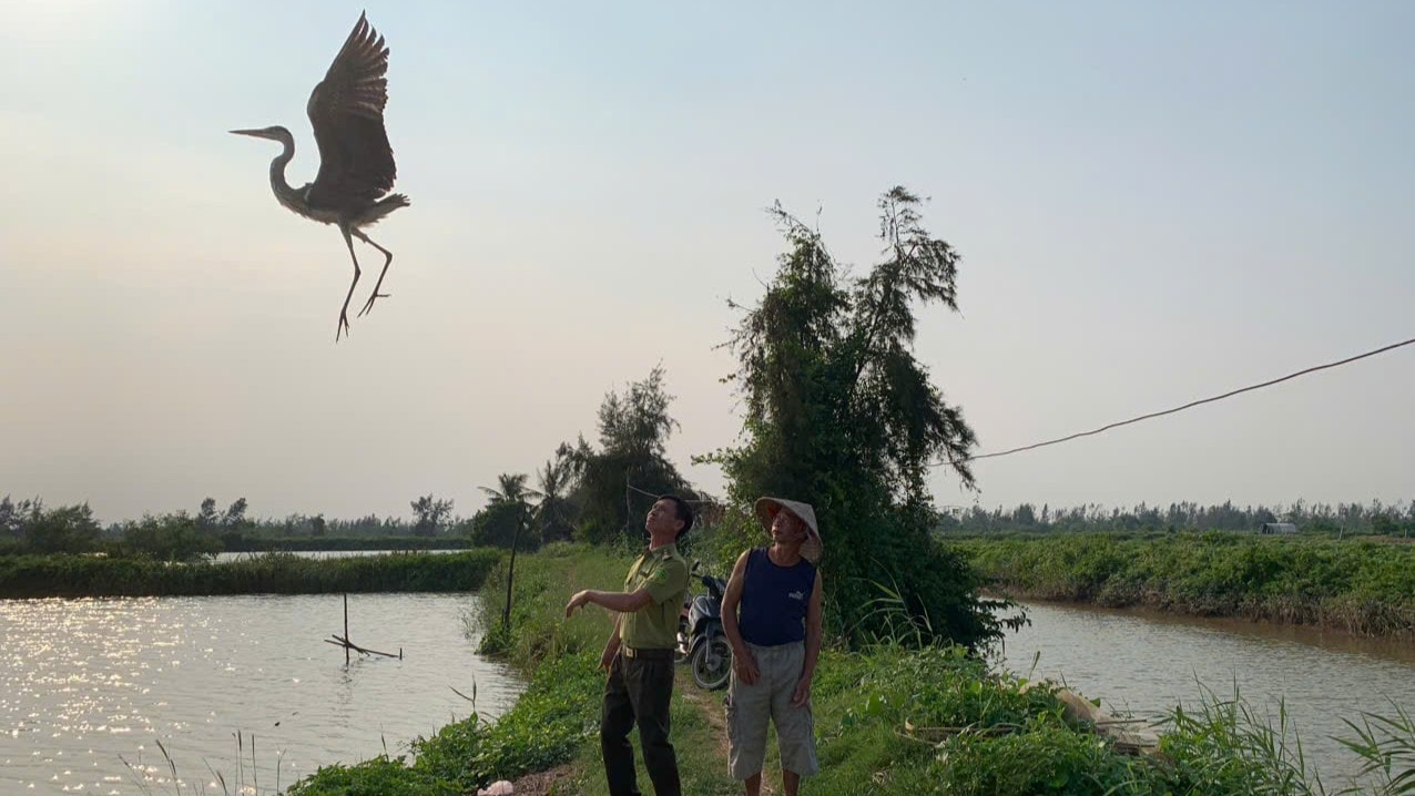 Động vật hoang dã được thả về thiên nhiên