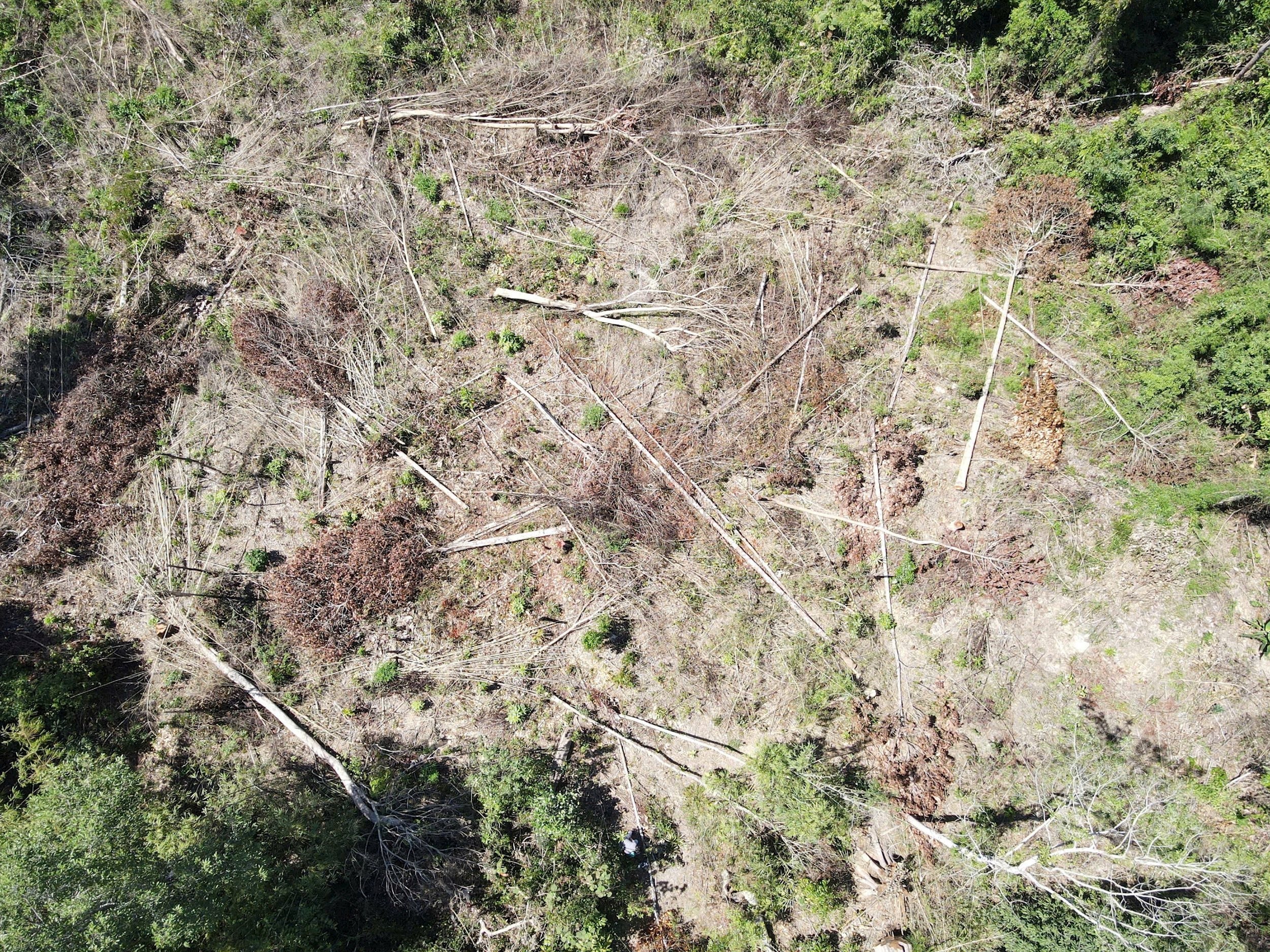 z6606923579146_2ce88325a2a29e00b6d04d11b6b9211e (1)