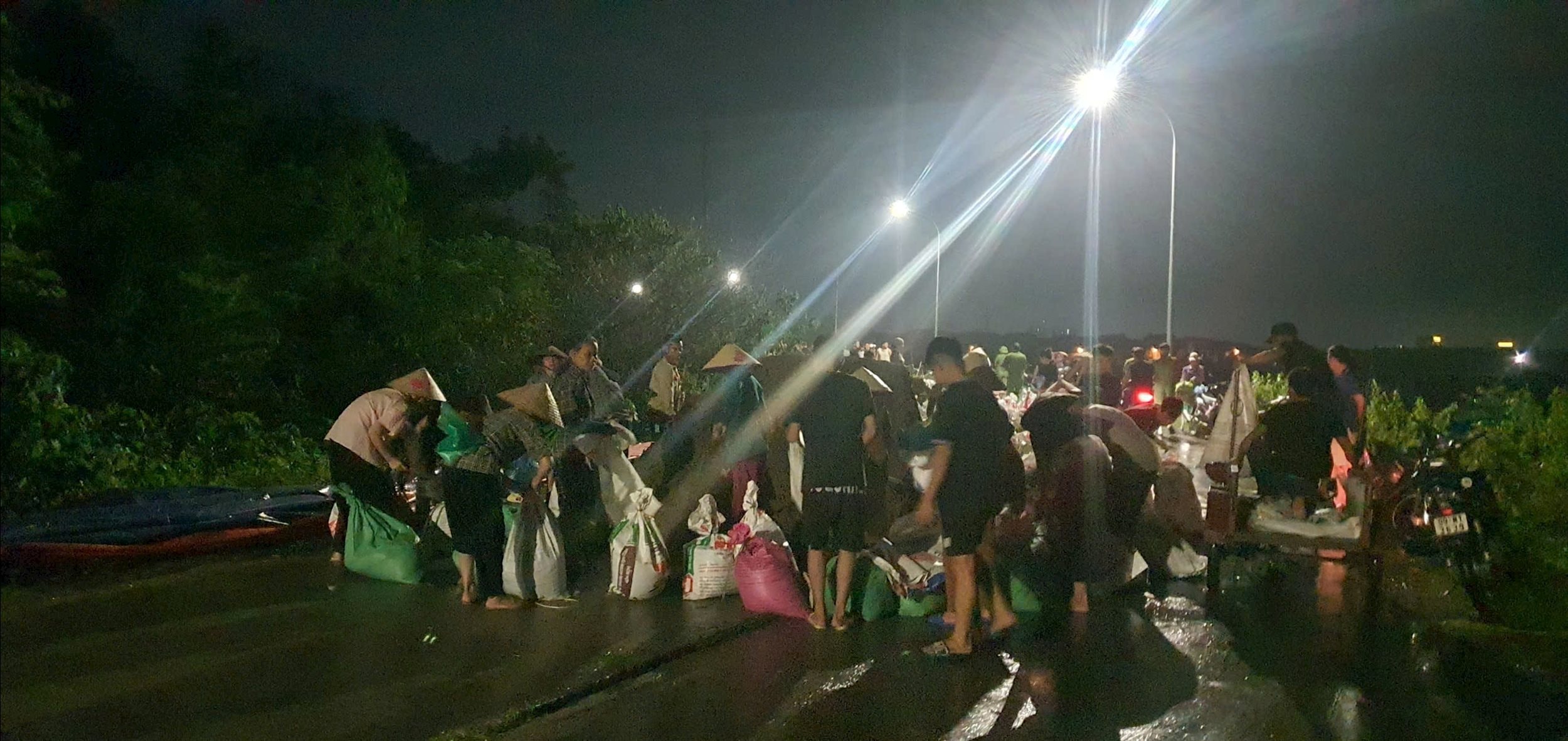 100cdad7a1972cc97586 (1)