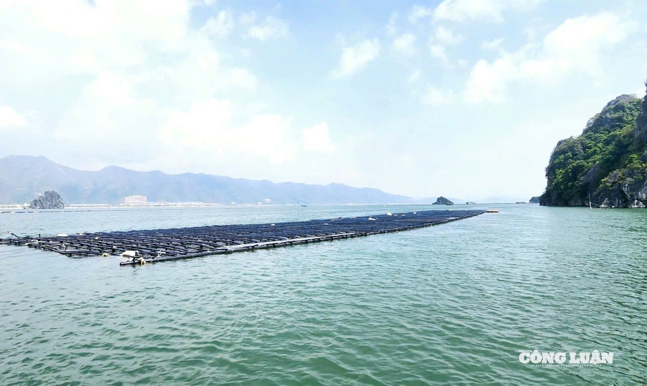 ngu-dan-nuoi-bien-chua-man-ma-lam-ho-so-cap-phep-anh-2.jpg