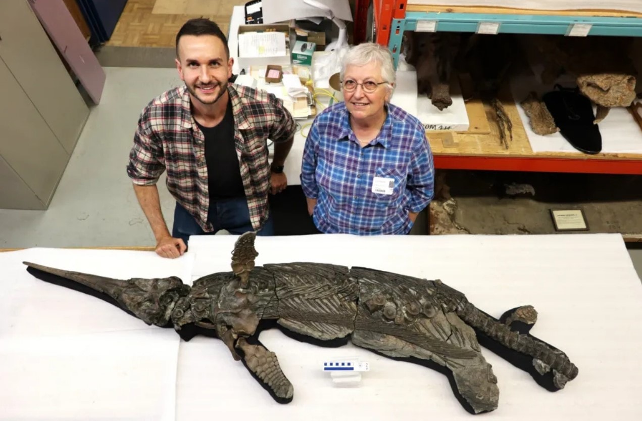 Screenshot 2025-10-10 150258