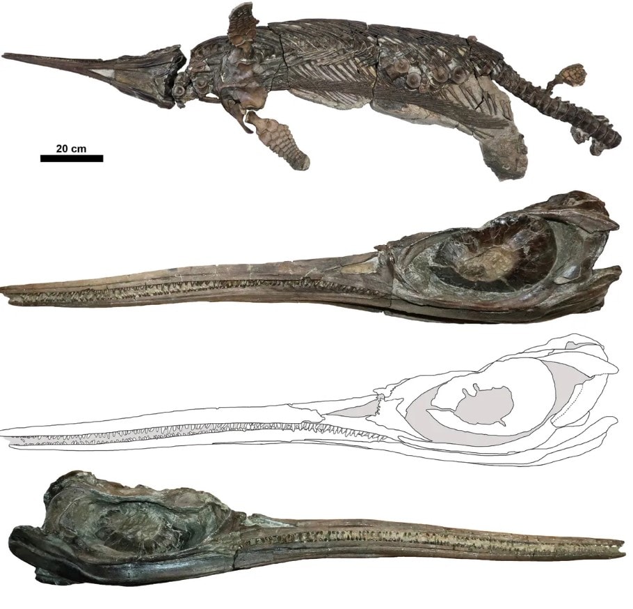 Screenshot 2025-10-10 150423