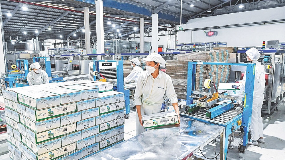 Doanh nhân, doanh nghiệp dân tộc là 'chiến sĩ trên mặt trận kinh tế' - ảnh 1 Hình ảnh: Doanh nhân, doanh nghiệp dân tộc là 'chiến sĩ trên mặt trận kinh tế' số 1