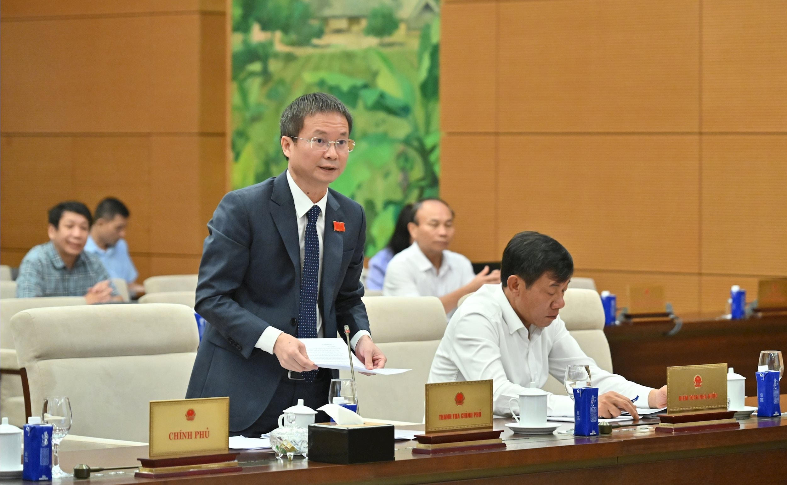 Phó Tổng thanh tra Chính phủ