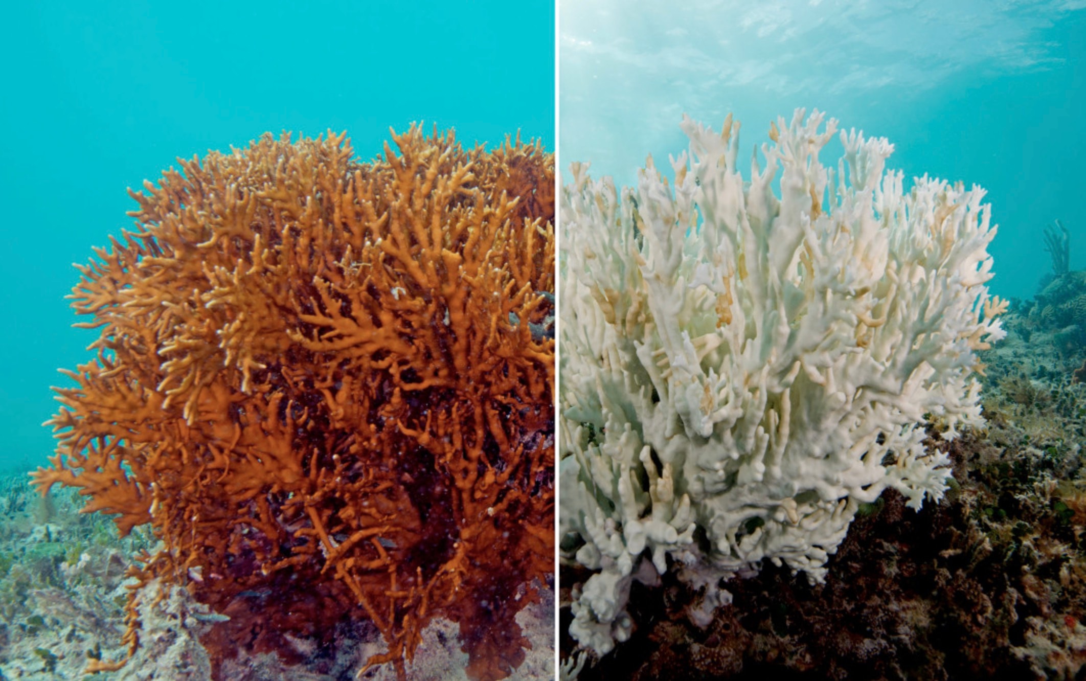 Screenshot 2025-10-13 at 10.59.59