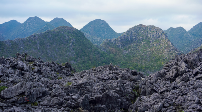 Ảnh màn hình 2025-10-14 lúc 09.14.59