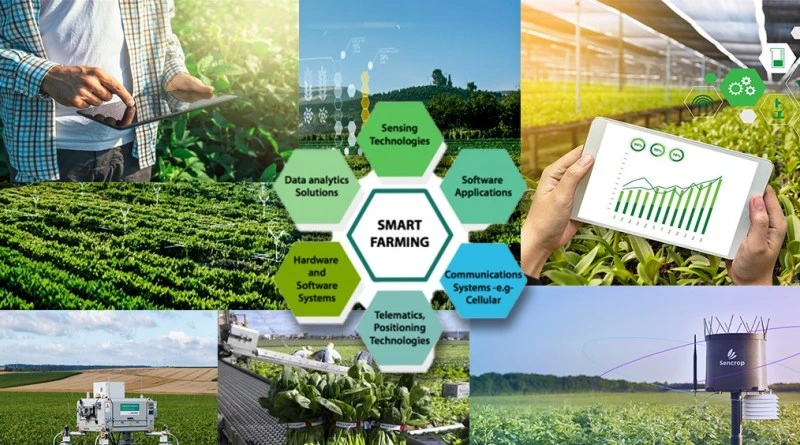 46 tiêu chí đánh giá hiệu quả khoa học, công nghệ và đổi mới sáng tạo - ảnh 1 Hình ảnh: 46 tiêu chí đánh giá hiệu quả khoa học, công nghệ và đổi mới sáng tạo số 1