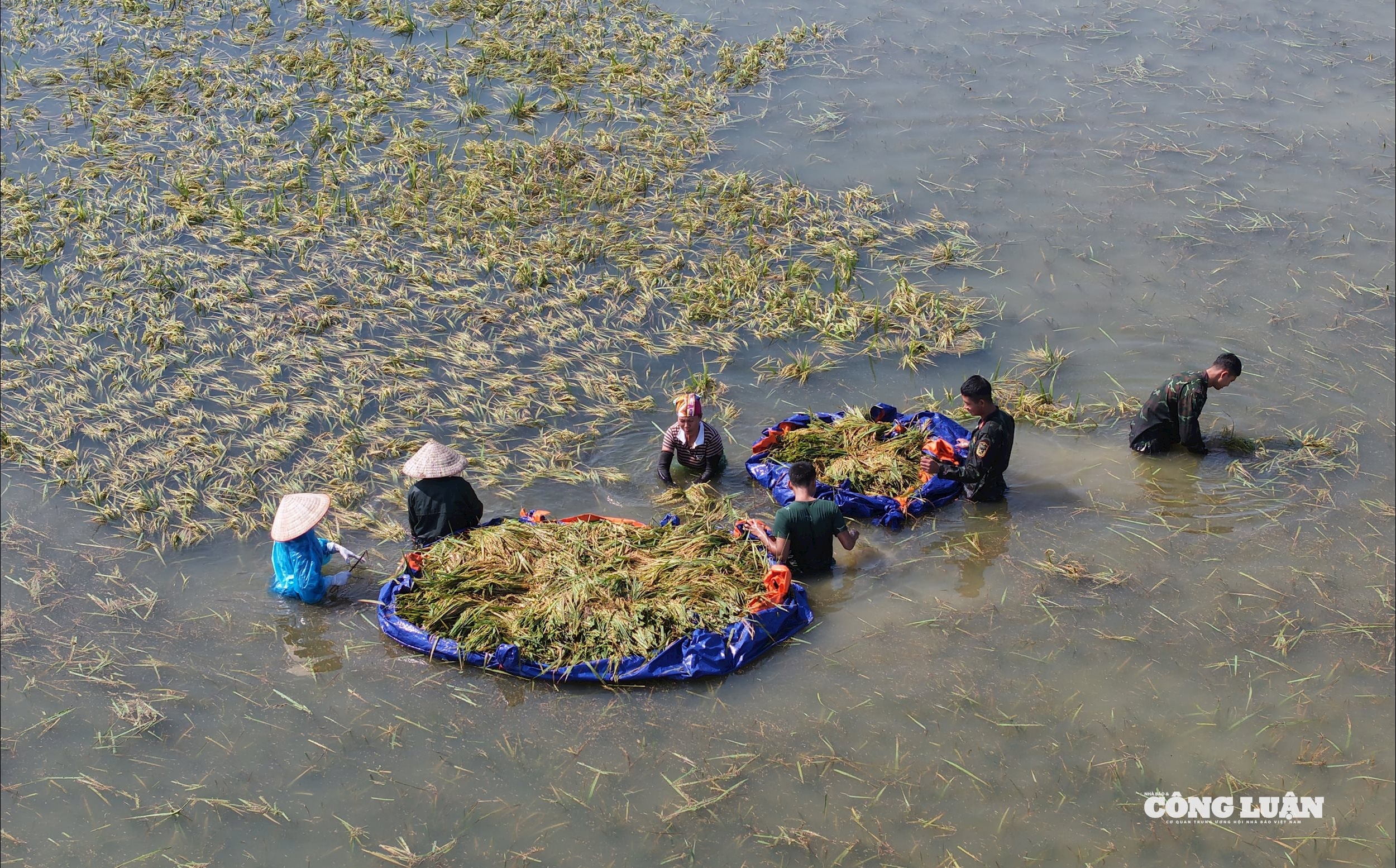 Ảnh 2.Cần sớm hoàn thiện hệ thống đê điều, hồ đập cũng như hệ thống cảnh báo sớm để ứng phó thiên tai cực đoan.