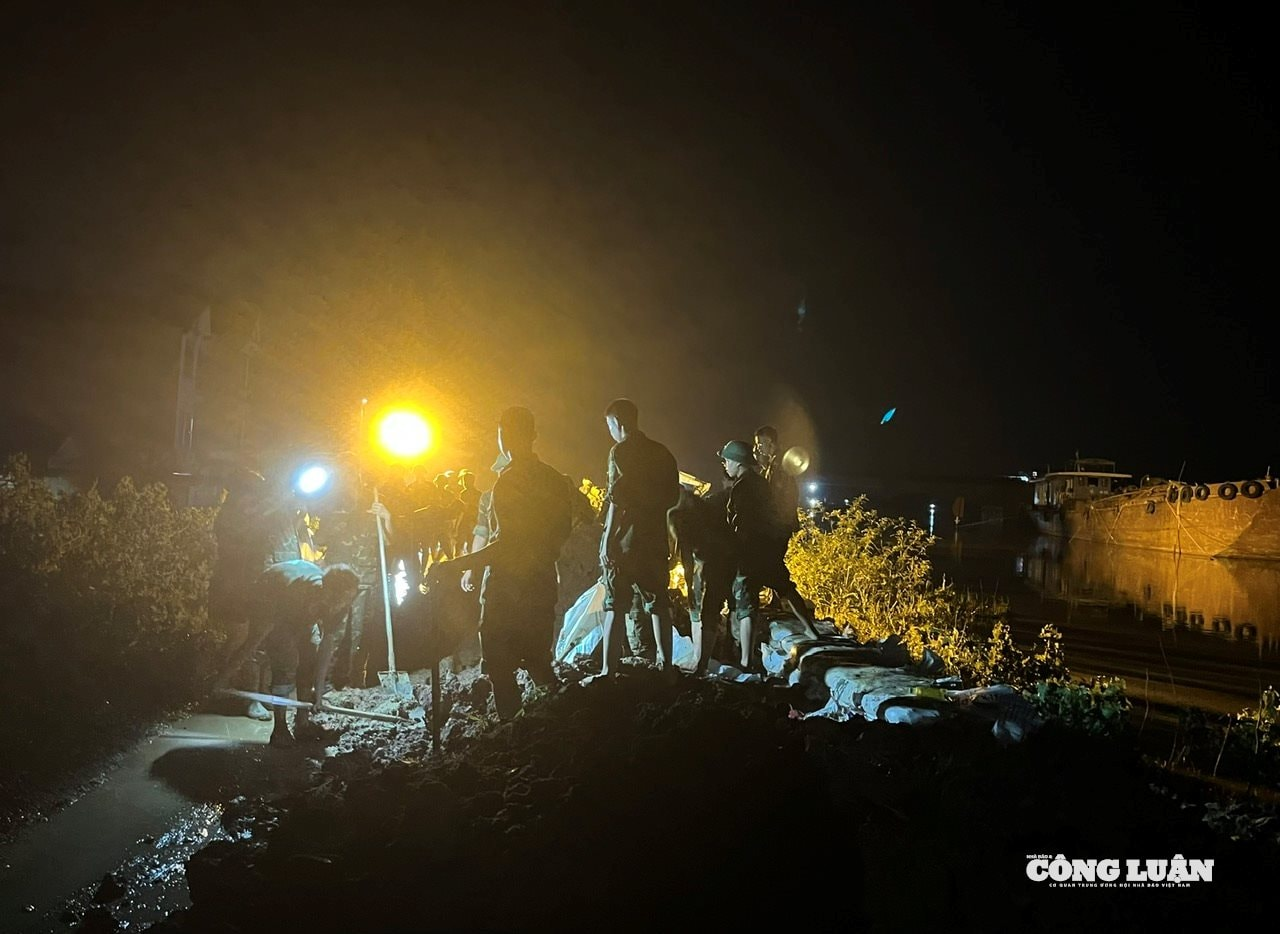 Ảnh 3.Quân dân cùng đắp đê ngăn nước sông Cầu tràn bờ tại xã Hợp Thịnh (tỉnh Bắc Ninh).