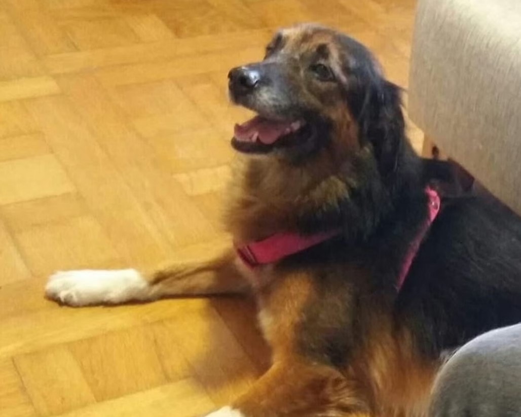 Screenshot 2025-10-17 221303