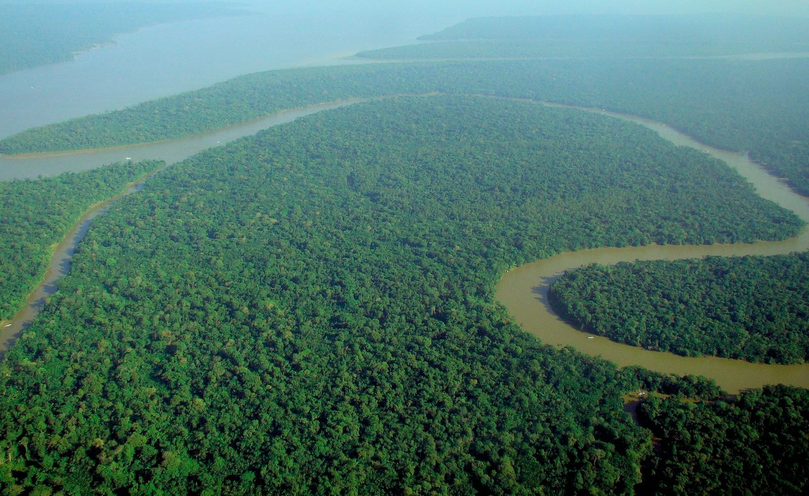 1600px-aerial_view_of_the_amazon_rainforest.jpg