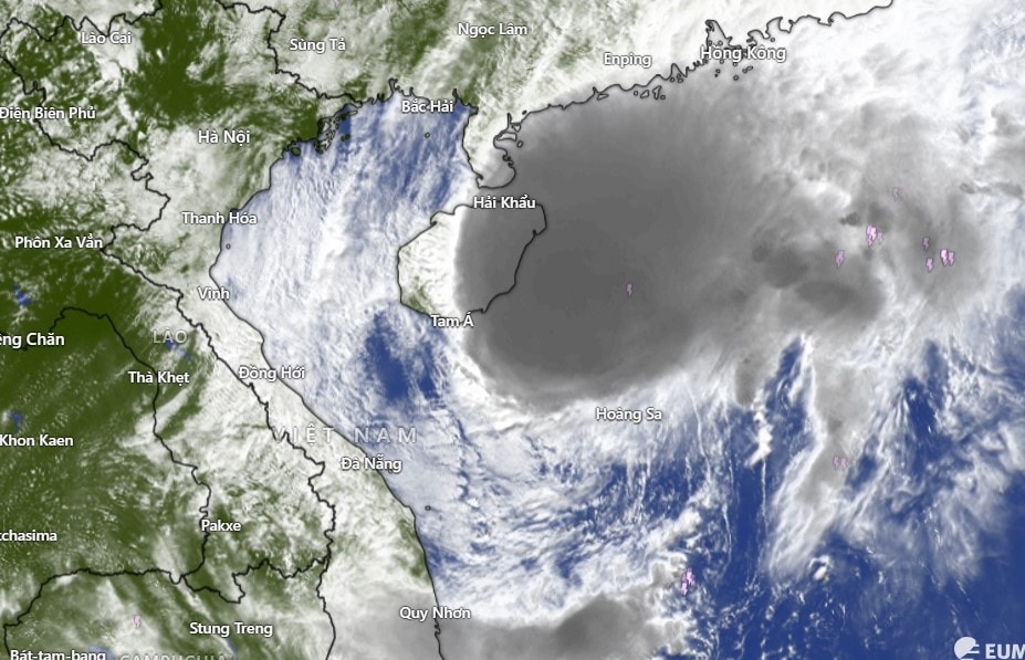 Screenshot 2025-10-21 152447