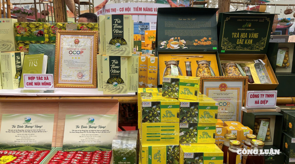 Ảnh màn hình 2025-10-29 lúc 12.44.22