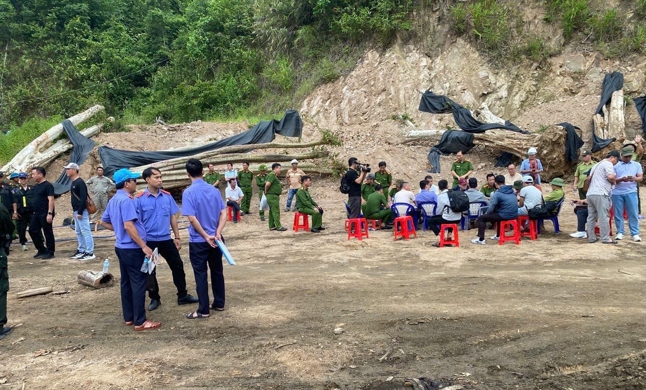 z7004921910629_7b2558d5494a5019edcb85fbb5eda08d (1)