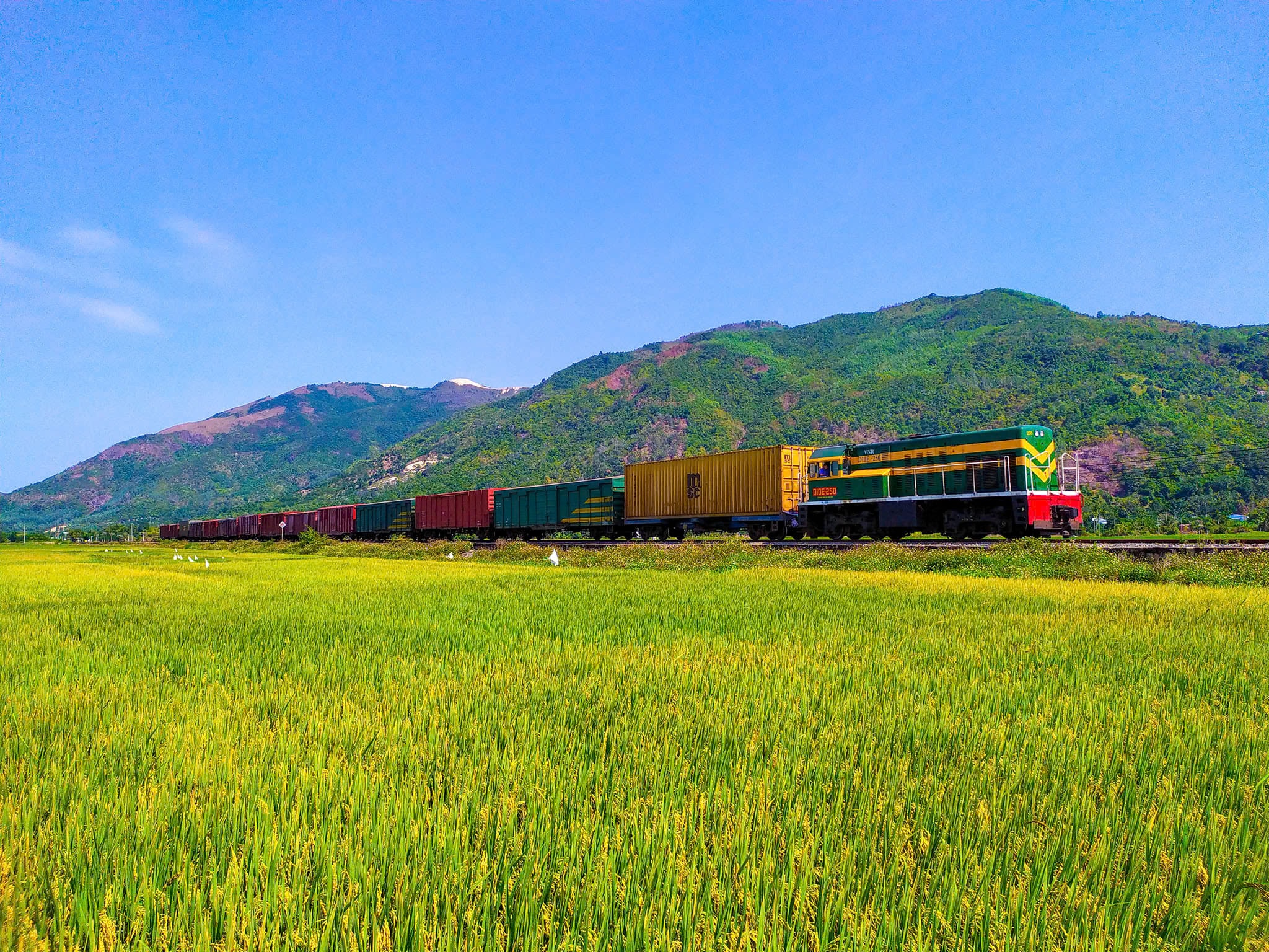 Ngành đường sắt khuyến cáo người dân hạn chế di chuyển hàng hóa bằng ô tô tải đường dài trong bối cảnh thời tiết vẫn còn phức tạp. Ảnh minh họa.