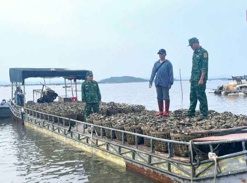 Lực lượng Đồn Biên phòng Trà Cổ bắt giữ đối tượng vận chuyển trái phép, số lượng lớn hàu từ Trung Quốc về Việt Nam (tháng 7/2025). Ảnh: Báo Quảng Ninh.
