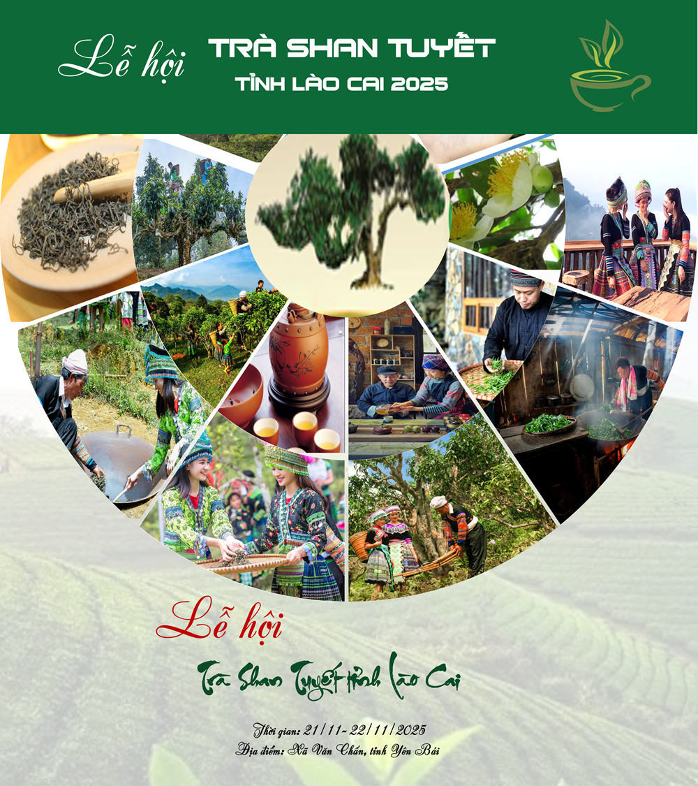 Nhiều hoạt động hấp dẫn tại Lễ hội Trà Shan Tuyết tỉnh Lào Cai 2025 