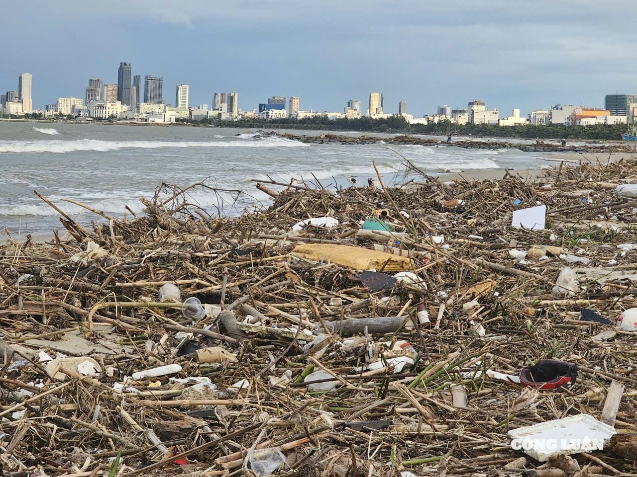 Rác thải chủ yếu là củi khô, cành cây, bao ni lông, chai nhựa, xốp, và thậm chí cả xác động vật...nằm la liệt trên bãi cát.