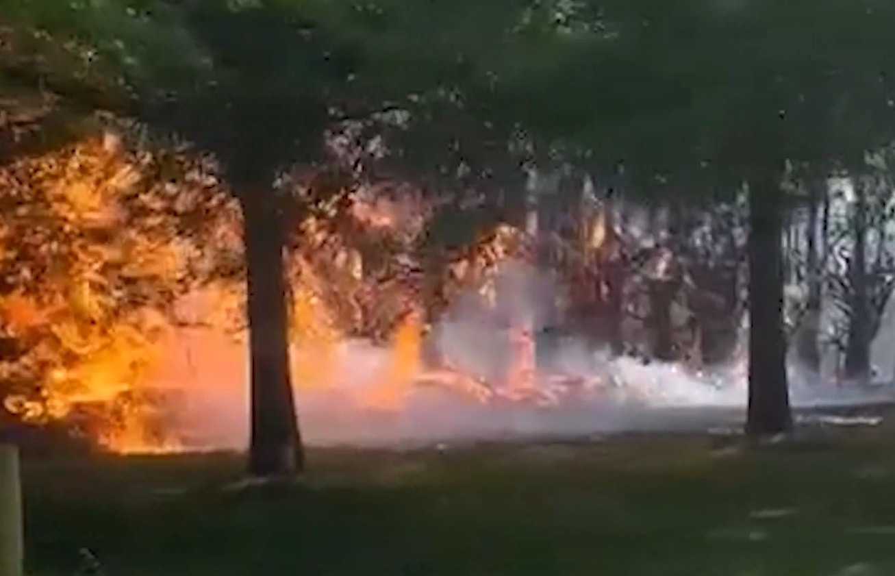 New Zealand Jungle Run