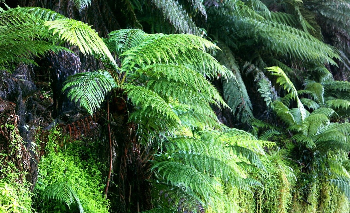 Skärmdump 2025-11-12 kl. 14.17.28