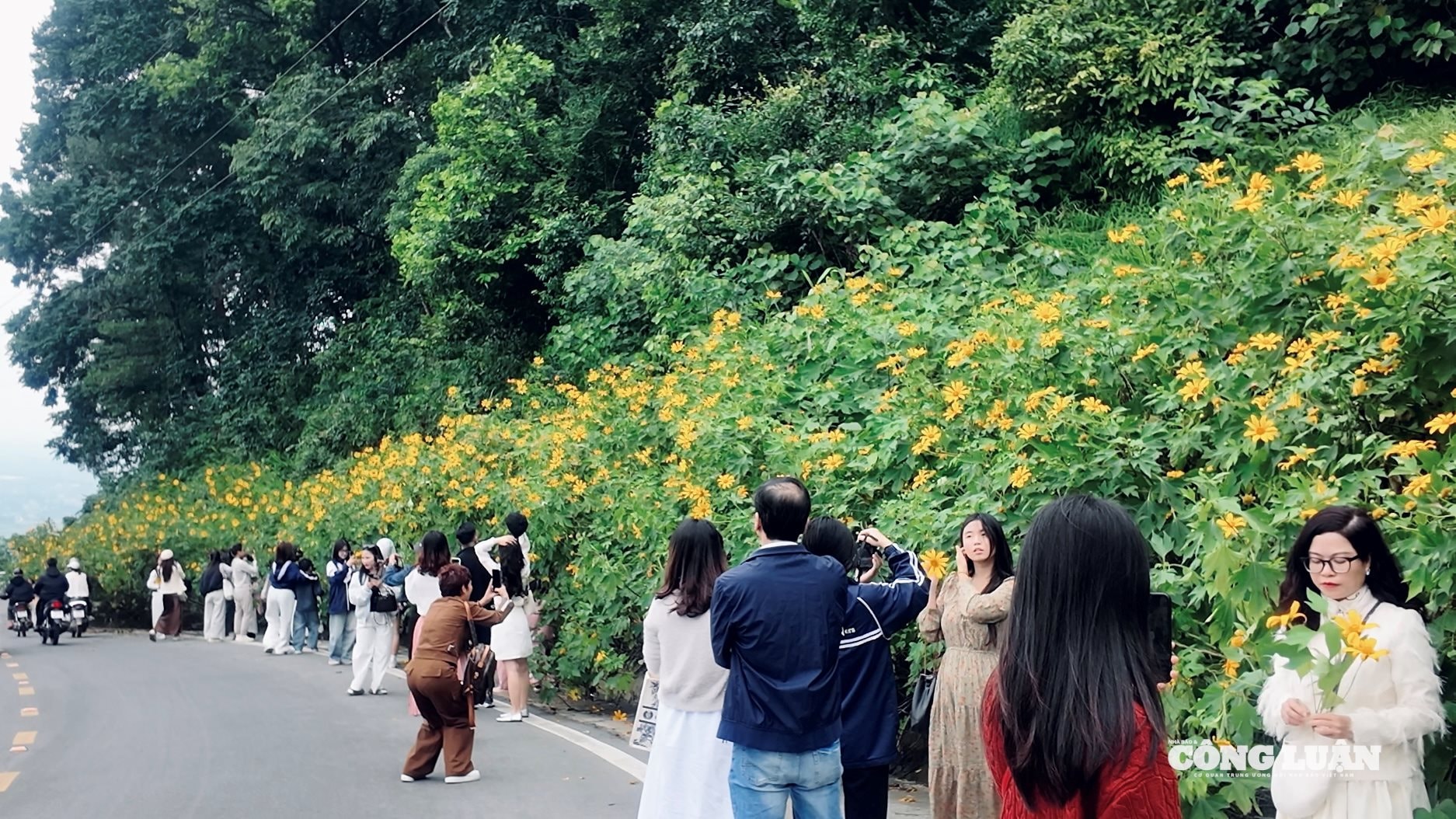 mua ngap.00_14_11_24.Still012