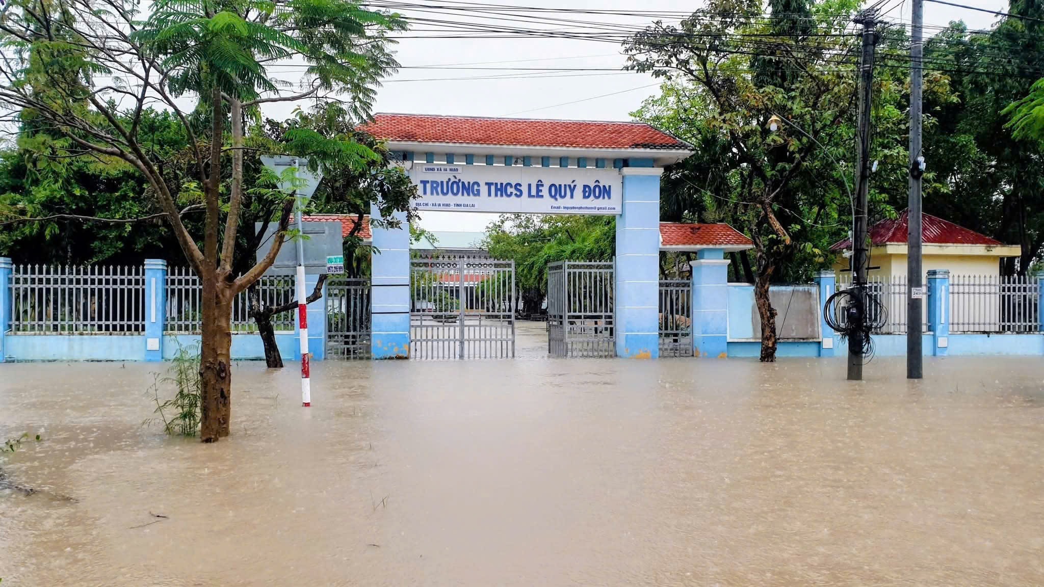 23afd85821b9ade7f4a8 (1)